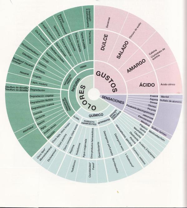 Tratamiento De Olores Y Sabores 7237